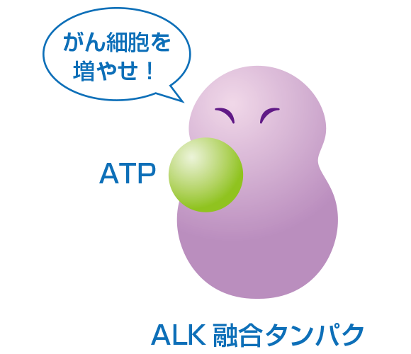 ALK融合タンパクがATPと結合すると、