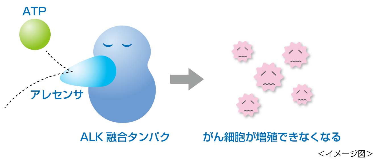 投与量に影響を与える可能性のある要因