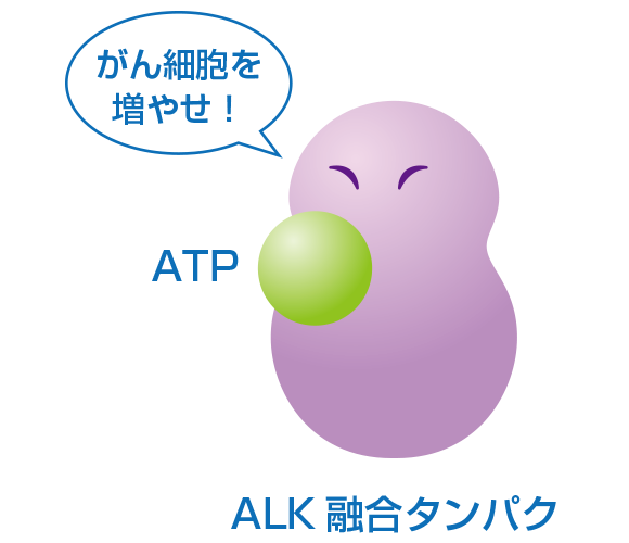 ALK融合タンパクがATPと結合すると、がん細胞が増殖し続けます。