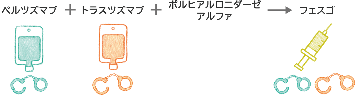 フェスゴはHER2タンパクを標的とする“ペルツズマブ”および“トラスツズマブ”、薬剤の吸収を促進する“ボルヒアルロニダーゼ アルファ”を配合した薬です。