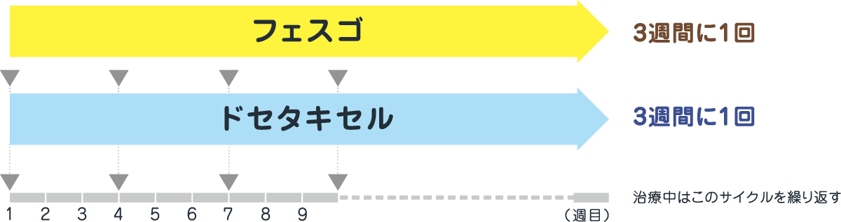 フェスゴとドセタキセルを組み合わせて使用します（3週間に1回、治療中はこのサイクルの繰り返し）。