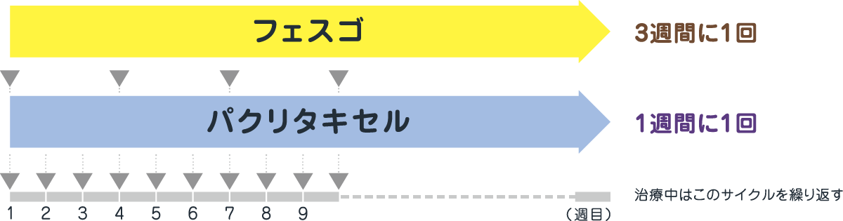 フェスゴ（3週間に1回）とパクリタキセル（1週間に1回）を組み合わせて使用します（治療中はこのサイクルの繰り返し）。