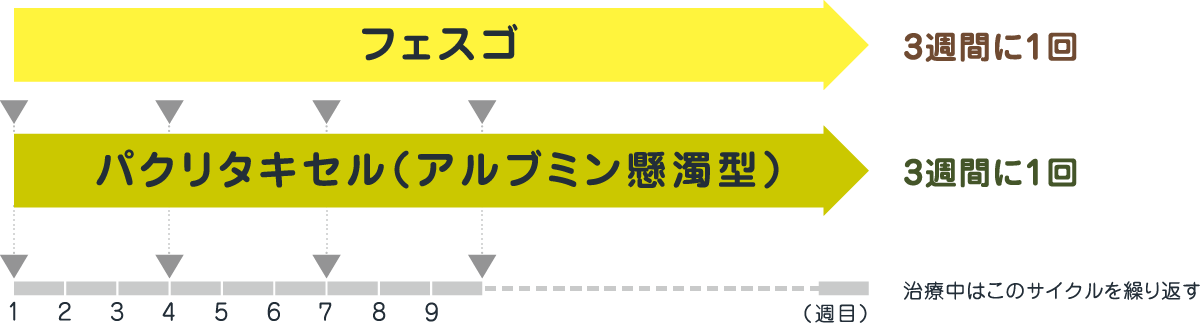 フェスゴとパクリタキセル（アルブミン懸濁型）を組み合わせて使用します（3週間に1回、治療中はこのサイクルの繰り返し）。