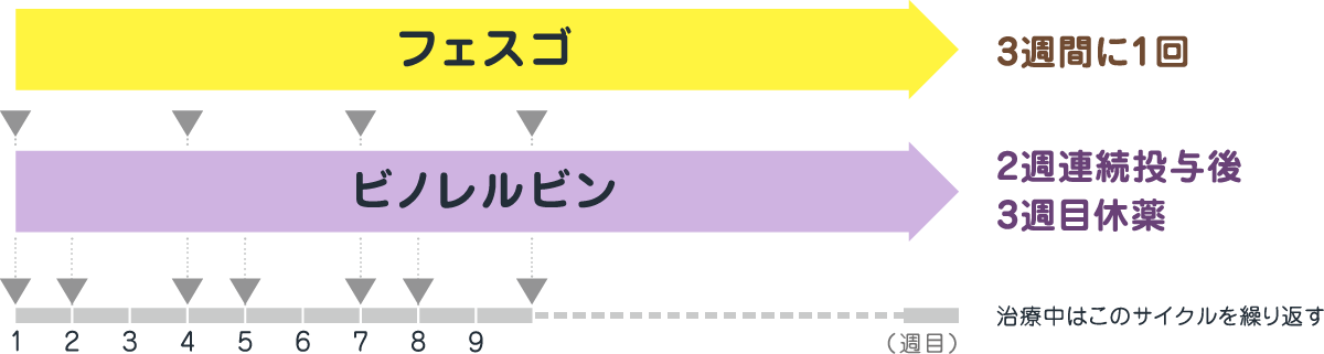 フェスゴ（3週間に1回）とビノレルビン（2週連続投与後、3週目休薬）を組み合わせて使用します（治療中はこのサイクルの繰り返し）。