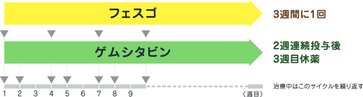 フェスゴ（3週間に1回）とゲムシタビン（2週連続投与後、3週目休薬）を組み合わせて使用します（治療中はこのサイクルの繰り返し）。