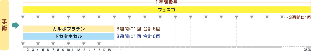 フェスゴ（3週間に1回、1年間投与）にカルボプラチン（3週間に1回、合計6回）およびドセタキセル（3週間に1回、合計6回）を組み合わせて使用します。