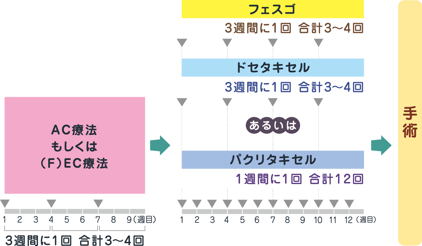 AC療法もしくは（F）EC療法（3週間に1回、合計3～4回）後、フェスゴとドセタキセルを組み合わせて使用（3週間に1回、合計3～4回）あるいはパクリタキセル（1週間に1回、合計12回）を使用します。