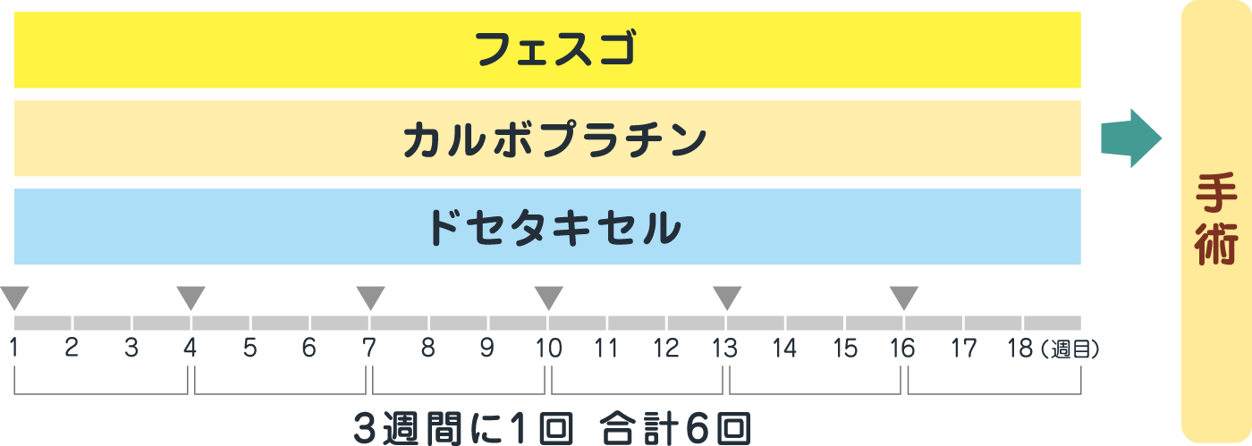 フェスゴ、カルボプラチン、ドセタキセルを組み合わせて使用します（3週間に1回、合計6回）。