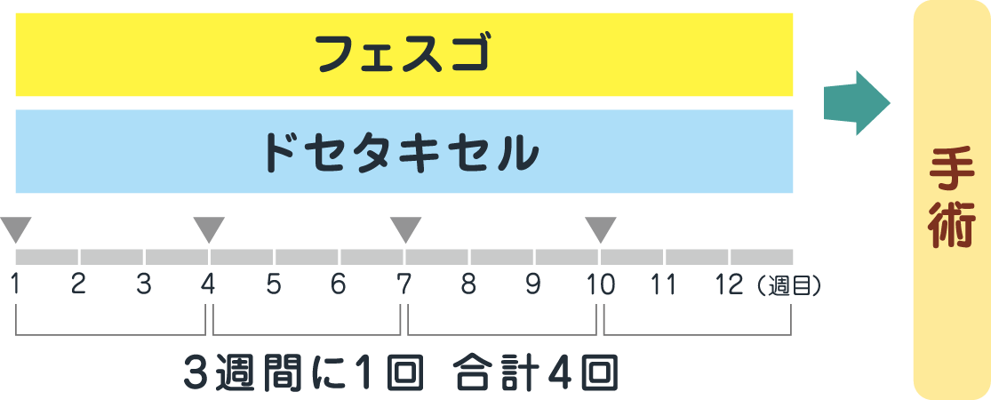 フェスゴとドセタキセルを組み合わせて使用します（3週間に1回、合計4回）。