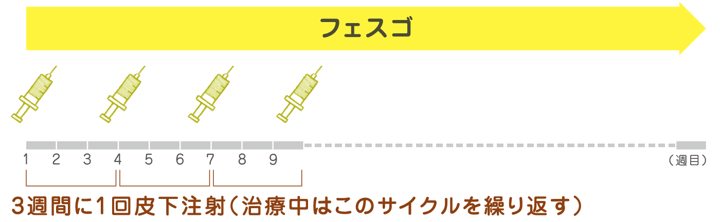 フェスゴを3週間に1回皮下注射します（治療中はこのサイクルの繰り返し）。